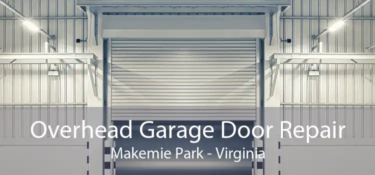 Overhead Garage Door Repair Makemie Park - Virginia