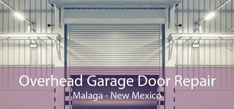 Overhead Garage Door Repair Malaga - New Mexico