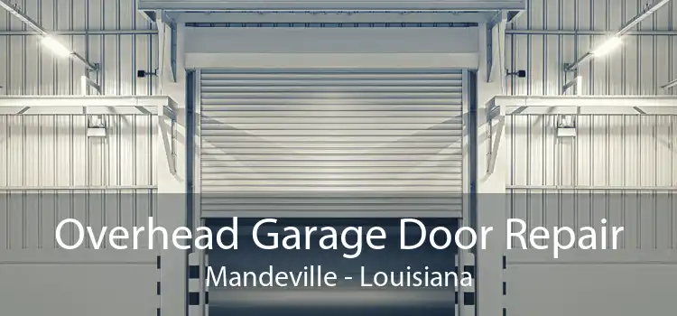 Overhead Garage Door Repair Mandeville - Louisiana