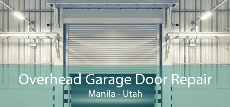 Overhead Garage Door Repair Manila - Utah