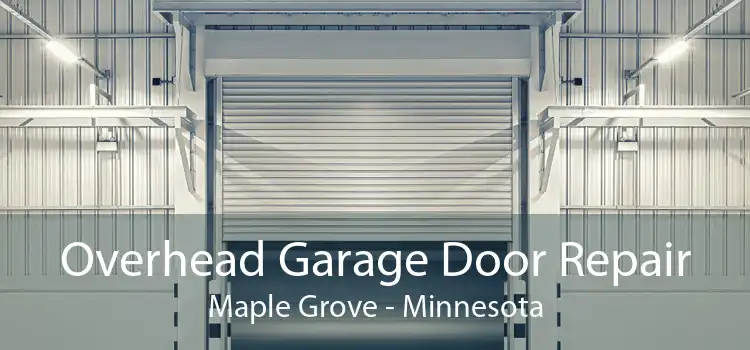 Overhead Garage Door Repair Maple Grove - Minnesota