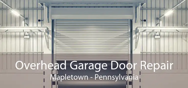 Overhead Garage Door Repair Mapletown - Pennsylvania