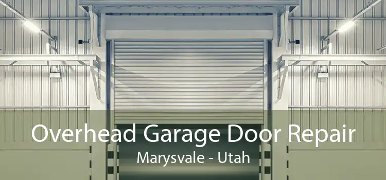 Overhead Garage Door Repair Marysvale - Utah