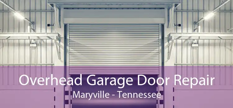 Overhead Garage Door Repair Maryville - Tennessee