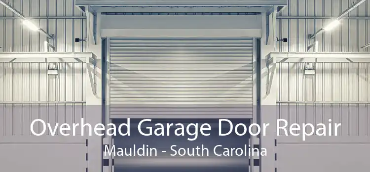 Overhead Garage Door Repair Mauldin - South Carolina
