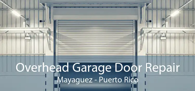Overhead Garage Door Repair Mayaguez - Puerto Rico
