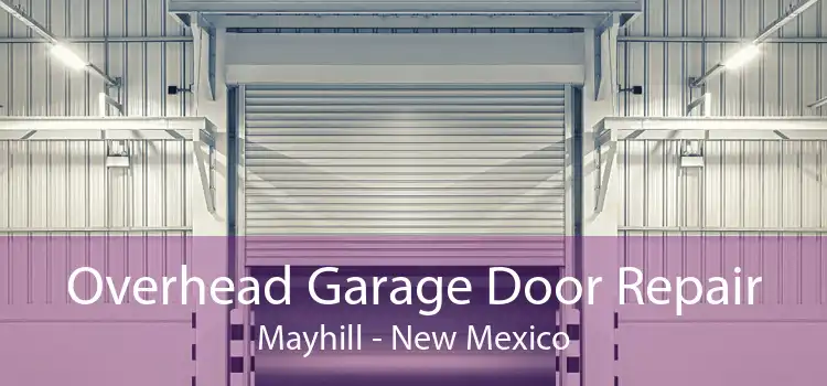 Overhead Garage Door Repair Mayhill - New Mexico