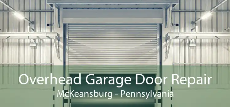 Overhead Garage Door Repair McKeansburg - Pennsylvania