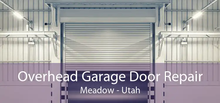 Overhead Garage Door Repair Meadow - Utah
