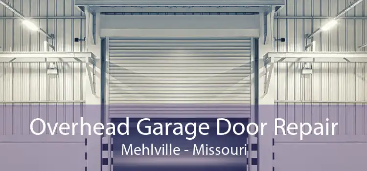 Overhead Garage Door Repair Mehlville - Missouri