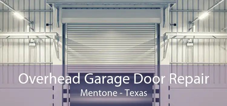 Overhead Garage Door Repair Mentone - Texas