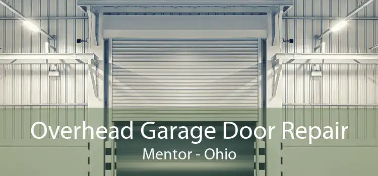 Overhead Garage Door Repair Mentor - Ohio