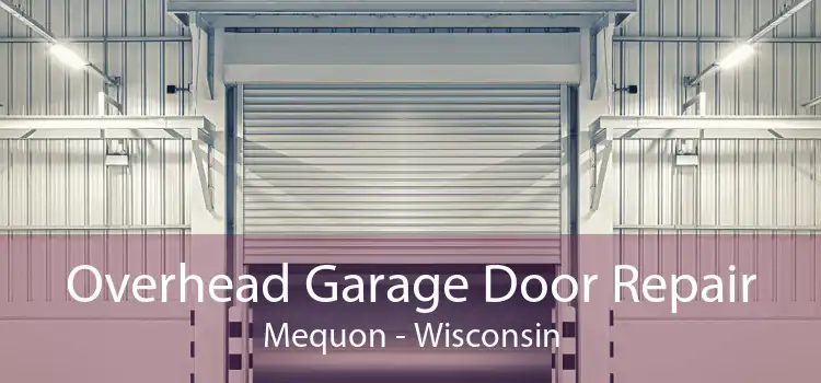 Overhead Garage Door Repair Mequon - Wisconsin
