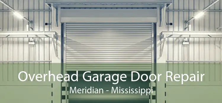 Overhead Garage Door Repair Meridian - Mississippi