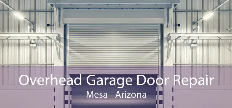 Overhead Garage Door Repair Mesa - Arizona