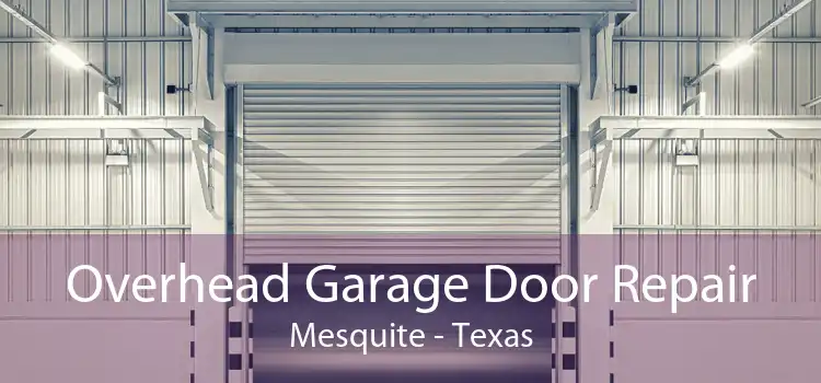 Overhead Garage Door Repair Mesquite - Texas