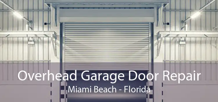 Overhead Garage Door Repair Miami Beach - Florida