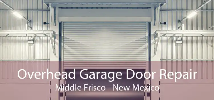 Overhead Garage Door Repair Middle Frisco - New Mexico