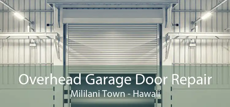 Overhead Garage Door Repair Mililani Town - Hawaii