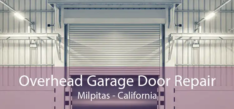 Overhead Garage Door Repair Milpitas - California