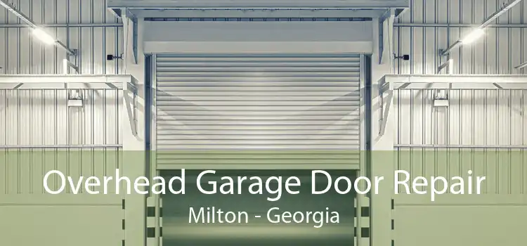 Overhead Garage Door Repair Milton - Georgia