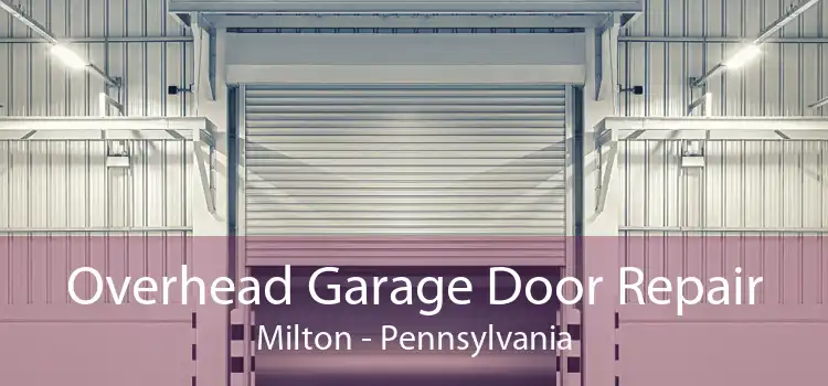 Overhead Garage Door Repair Milton - Pennsylvania