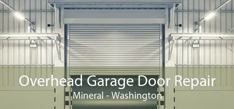Overhead Garage Door Repair Mineral - Washington