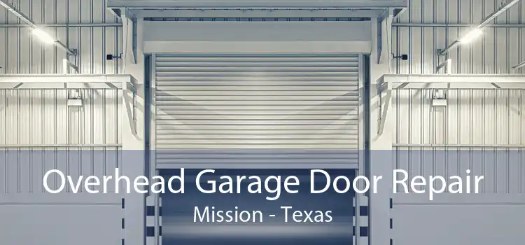 Overhead Garage Door Repair Mission - Texas
