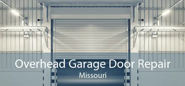 Overhead Garage Door Repair Missouri