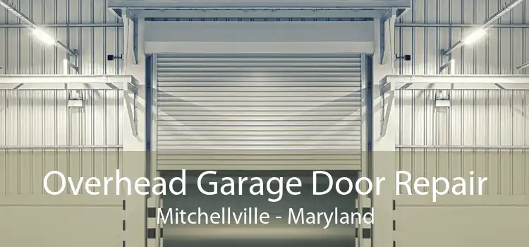 Overhead Garage Door Repair Mitchellville - Maryland