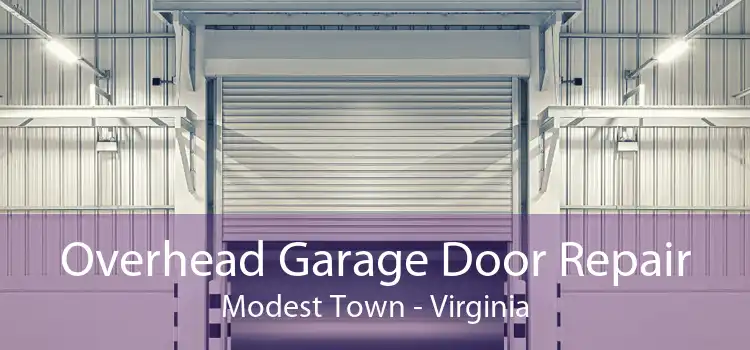 Overhead Garage Door Repair Modest Town - Virginia