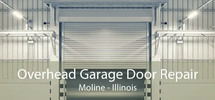 Overhead Garage Door Repair Moline - Illinois