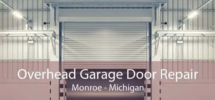 Overhead Garage Door Repair Monroe - Michigan