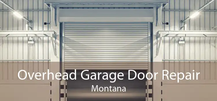 Overhead Garage Door Repair Montana