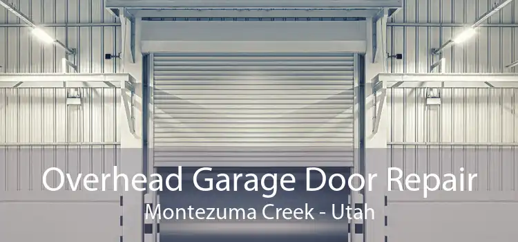 Overhead Garage Door Repair Montezuma Creek - Utah