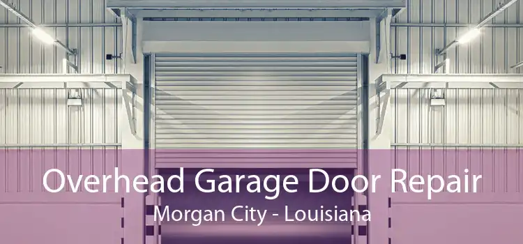 Overhead Garage Door Repair Morgan City - Louisiana