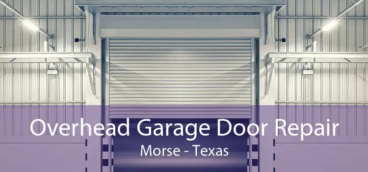 Overhead Garage Door Repair Morse - Texas