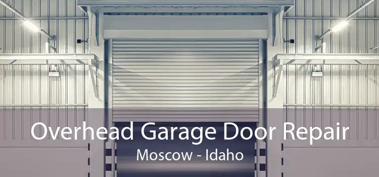 Overhead Garage Door Repair Moscow - Idaho