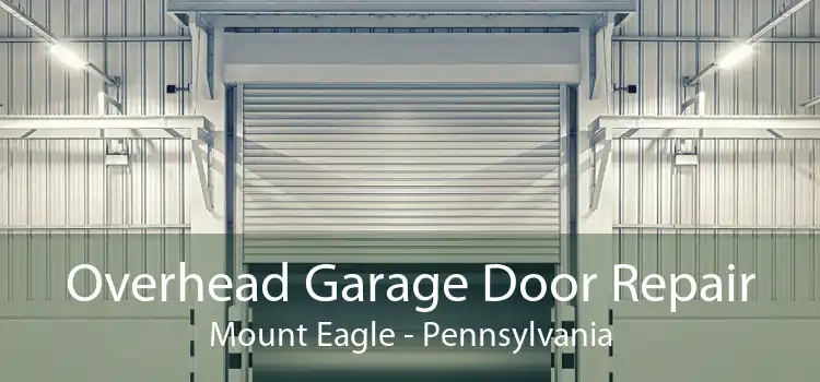 Overhead Garage Door Repair Mount Eagle - Pennsylvania