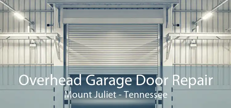 Overhead Garage Door Repair Mount Juliet - Tennessee