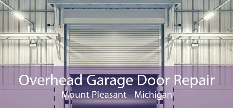 Overhead Garage Door Repair Mount Pleasant - Michigan