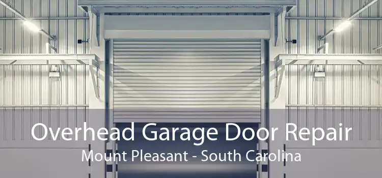 Overhead Garage Door Repair Mount Pleasant - South Carolina