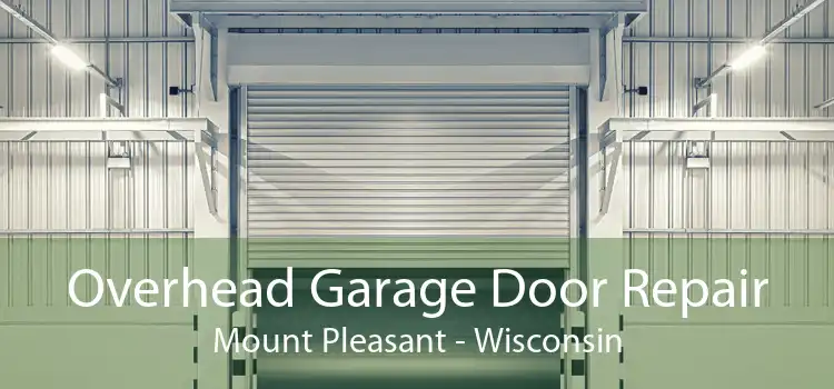 Overhead Garage Door Repair Mount Pleasant - Wisconsin