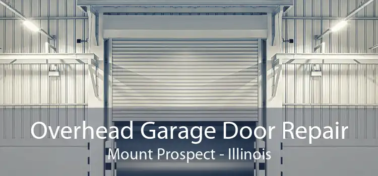 Overhead Garage Door Repair Mount Prospect - Illinois