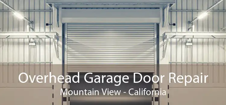 Overhead Garage Door Repair Mountain View - California