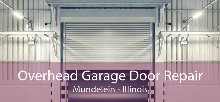 Overhead Garage Door Repair Mundelein - Illinois