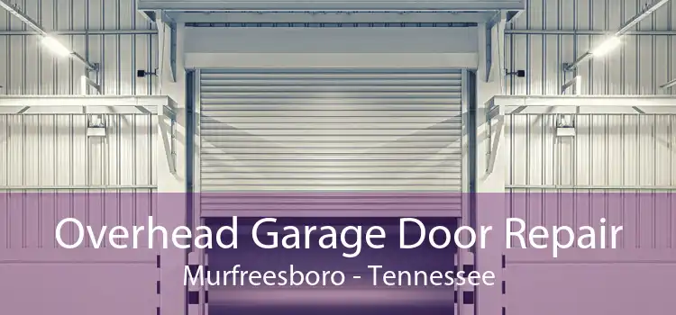 Overhead Garage Door Repair Murfreesboro - Tennessee