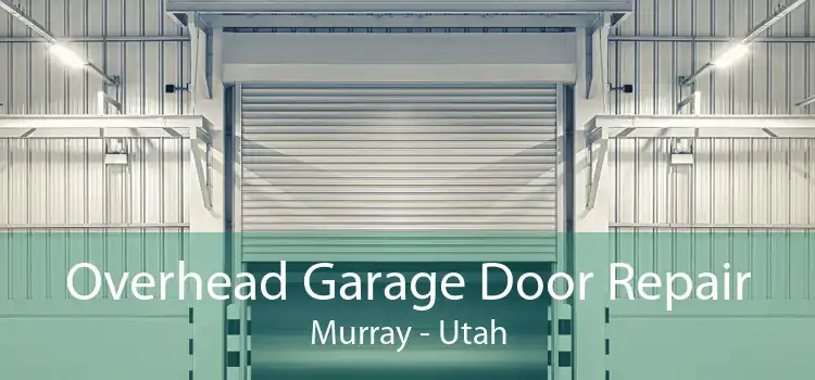 Overhead Garage Door Repair Murray - Utah