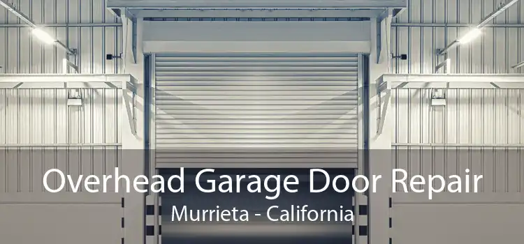 Overhead Garage Door Repair Murrieta - California