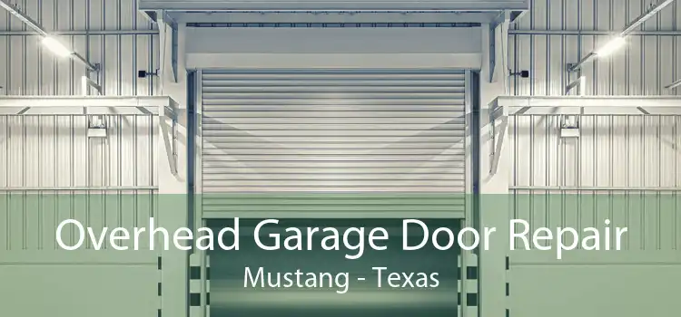 Overhead Garage Door Repair Mustang - Texas